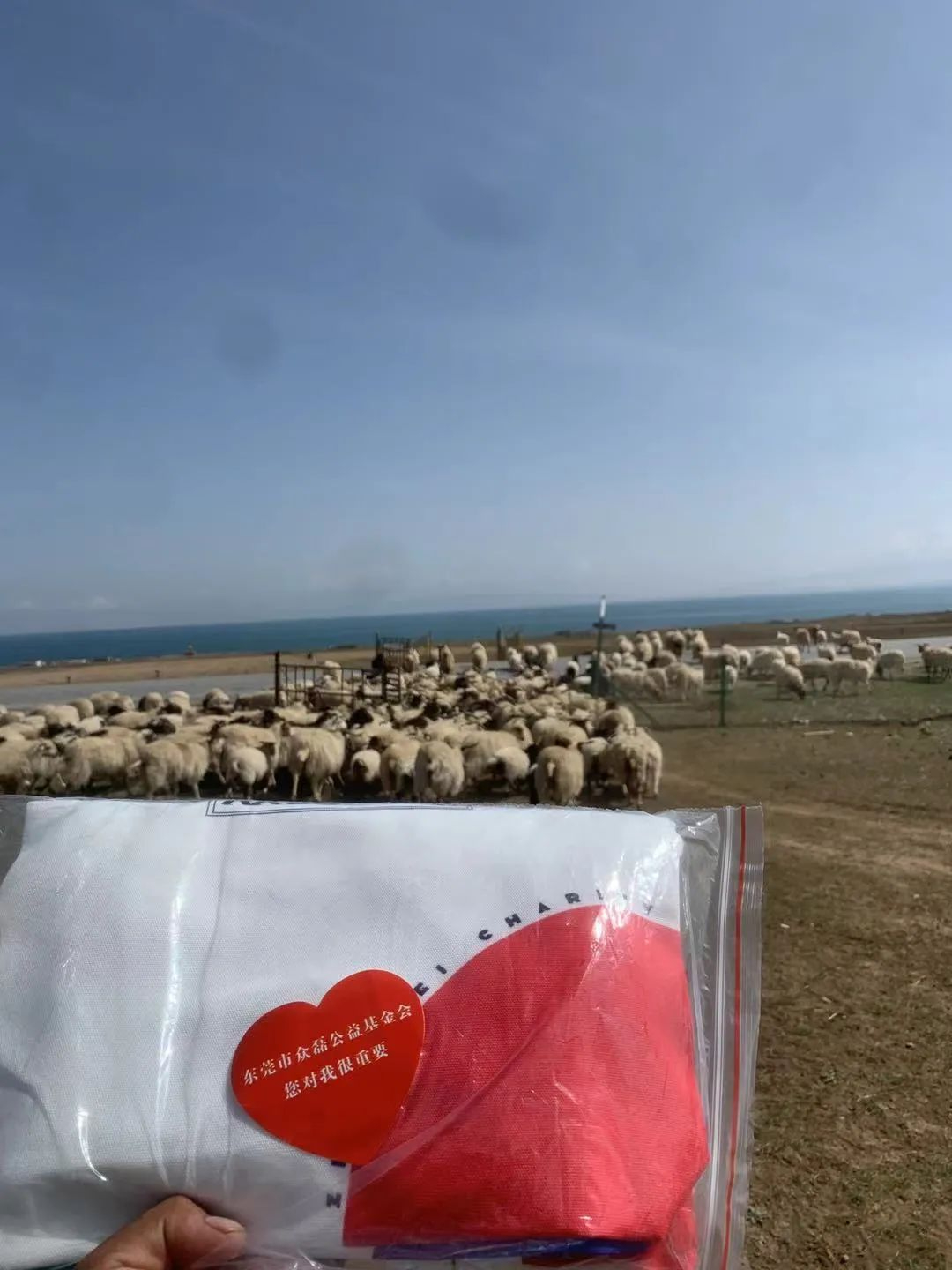 微信图片_20220526153311