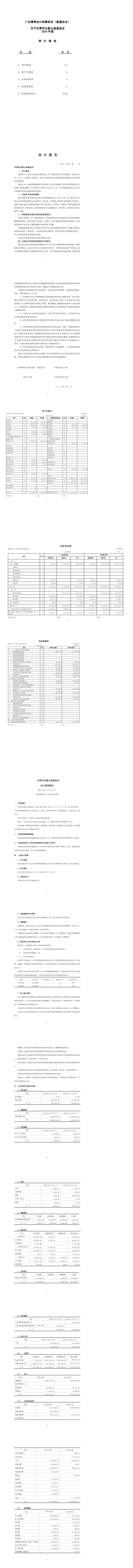 24年审计报告_00(1)